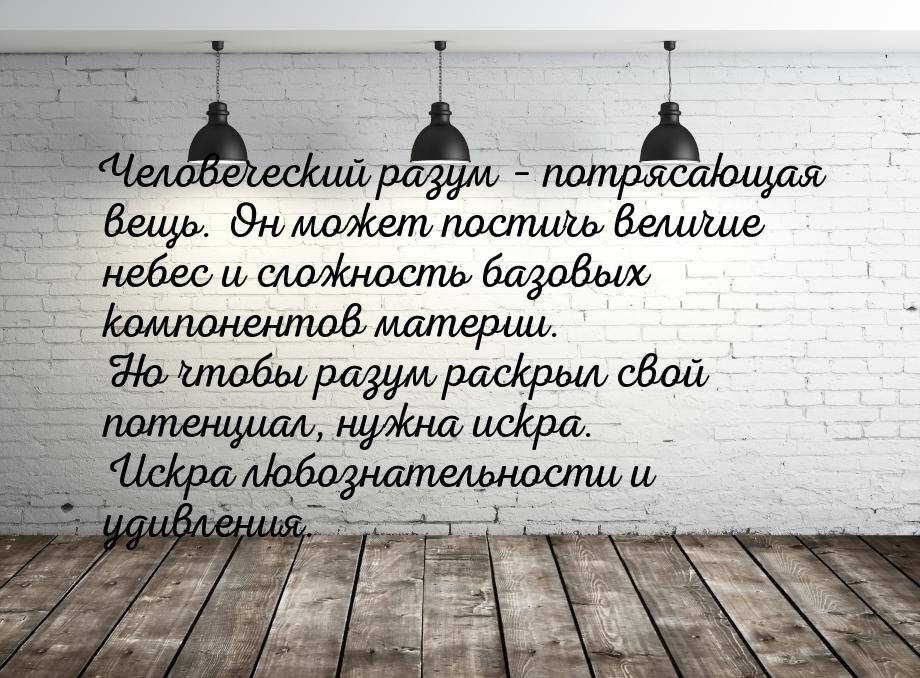 Человеческий разум – потрясающая вещь. Он может постичь величие небес и сложность базовых 