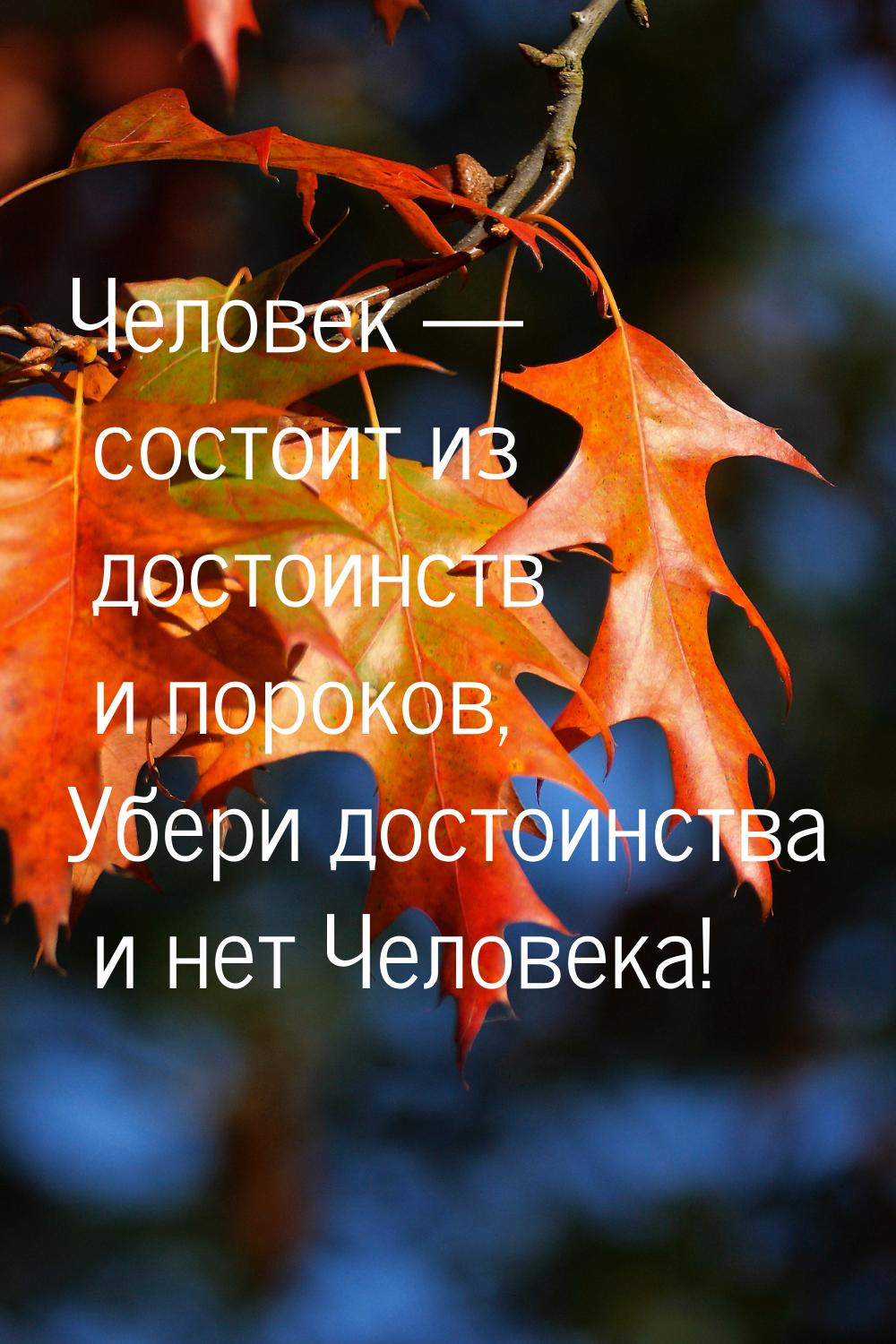 Человек — состоит из достоинств и пороков, Убери достоинства и нет Человека!