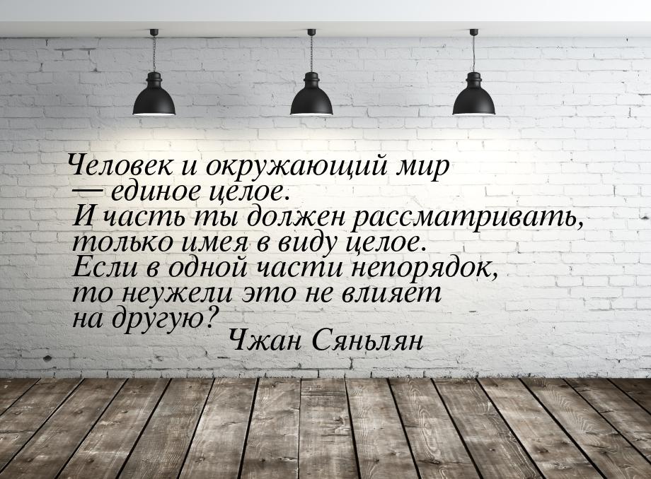 Человек и окружающий мир — единое целое. И часть ты должен рассматривать, только имея в ви