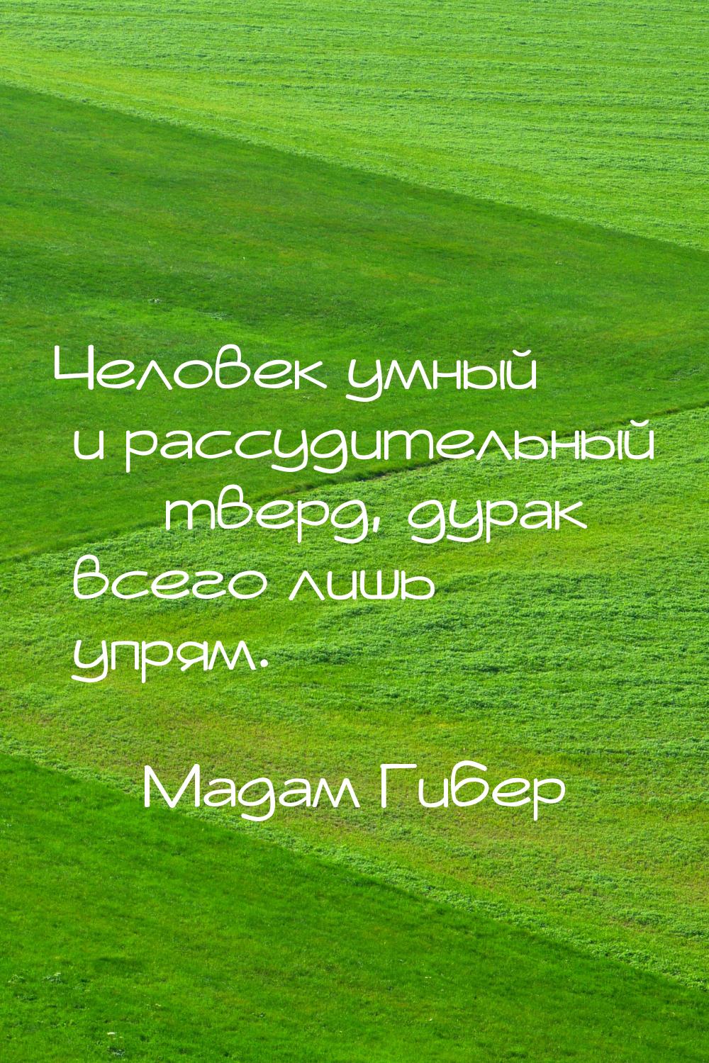 Человек умный и рассудительный  тверд, дурак всего лишь упрям.