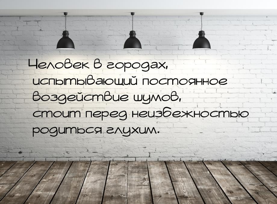 Человек в городах, испытывающий постоянное воздействие шумов, стоит перед неизбежностью ро