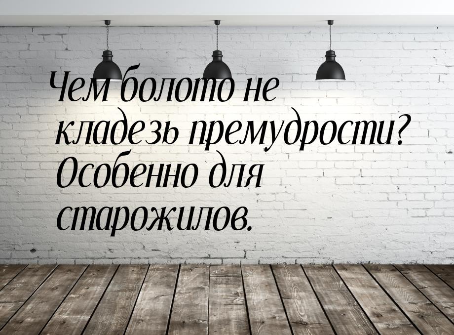 Чем болото не кладезь премудрости? Особенно для старожилов.