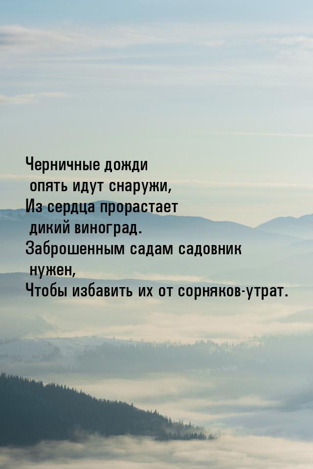 Черничные дожди опять идут снаружи, Из сердца прорастает дикий виноград. Заброшенным садам