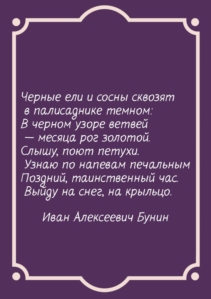 Черные ели и сосны сквозят в палисаднике темном: В черном узоре ветвей  месяца рог 