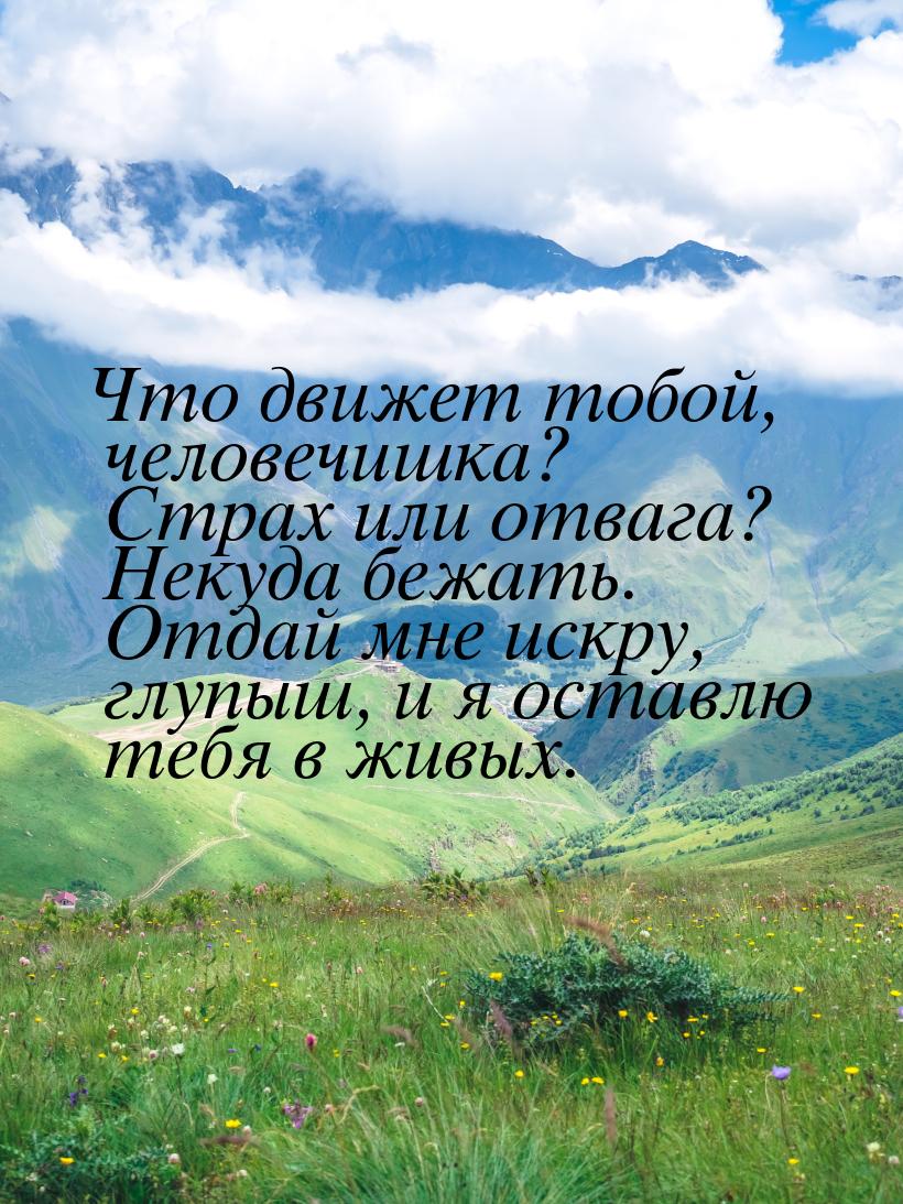 Что движет тобой, человечишка? Страх или отвага? Некуда бежать. Отдай мне искру, глупыш, и