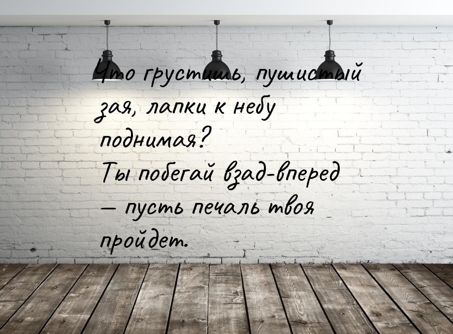 Что грустишь, пушистый зая, лапки к небу поднимая? Ты побегай взад-вперед  пусть пе