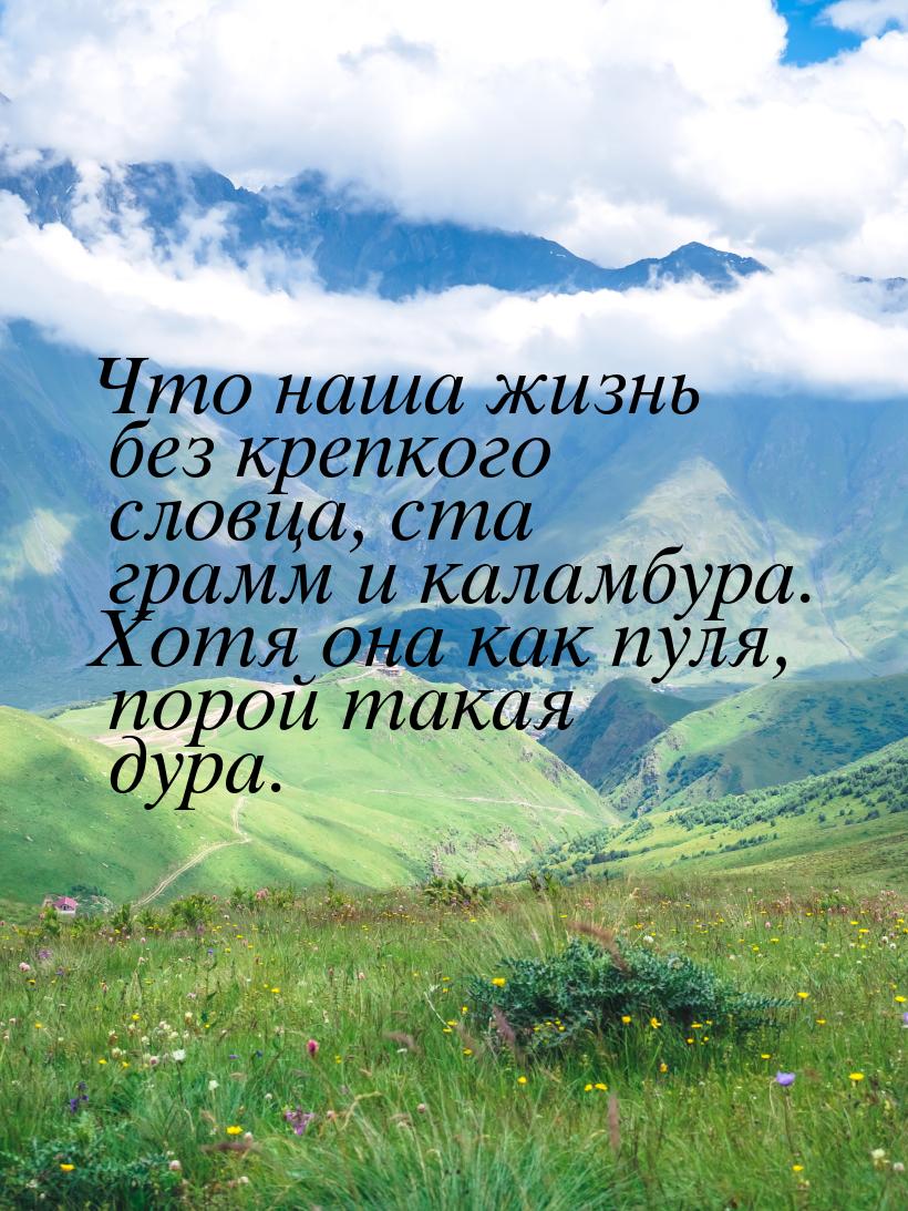 Что наша жизнь без крепкого словца, ста грамм и каламбура. Хотя она как пуля, порой такая 