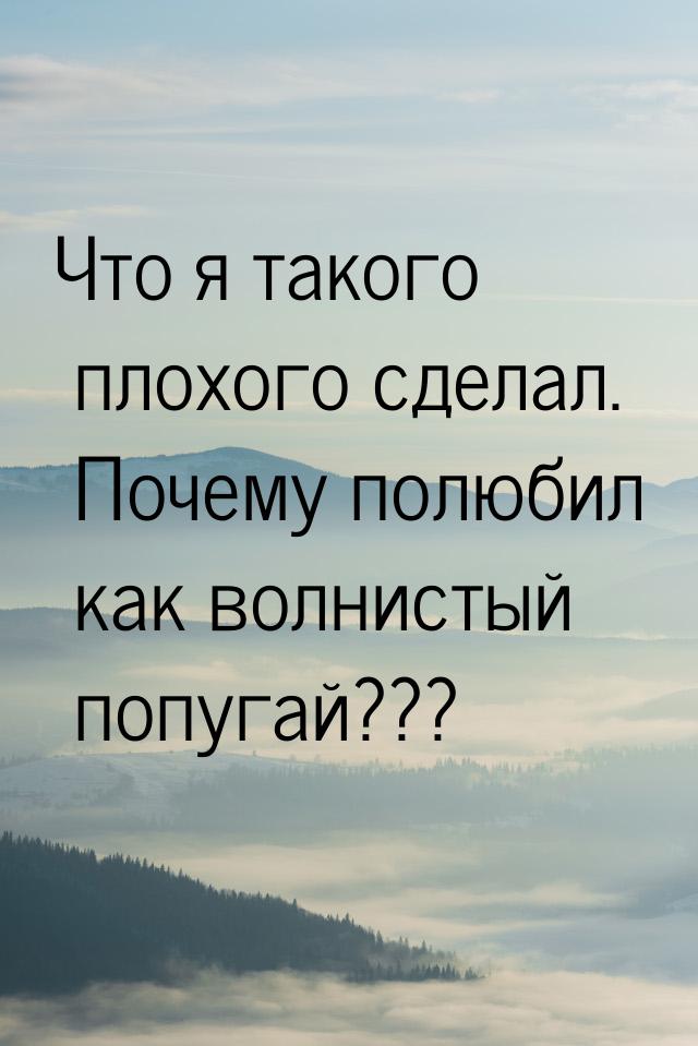 Что я такого плохого сделал. Почему полюбил как волнистый попугай???