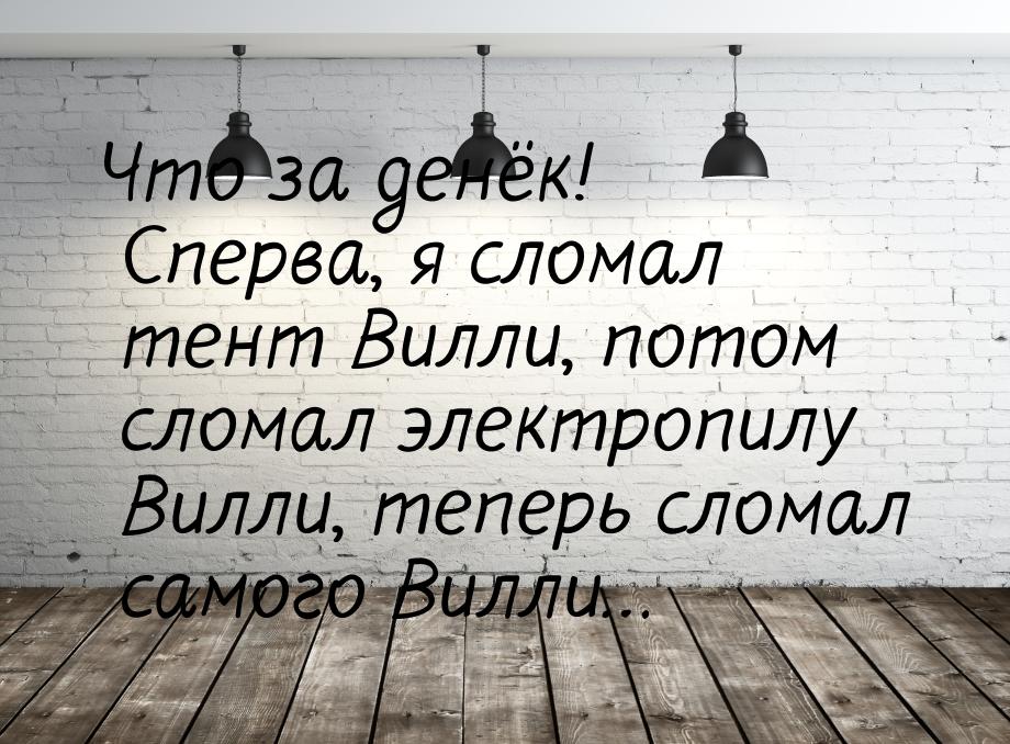 Что за денёк! Сперва, я сломал тент Вилли, потом сломал электропилу Вилли, теперь сломал с