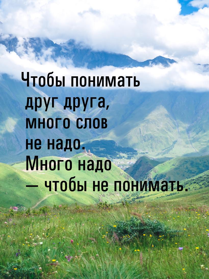 Чтобы понимать друг друга, много слов не надо. Много надо  чтобы не понимать.