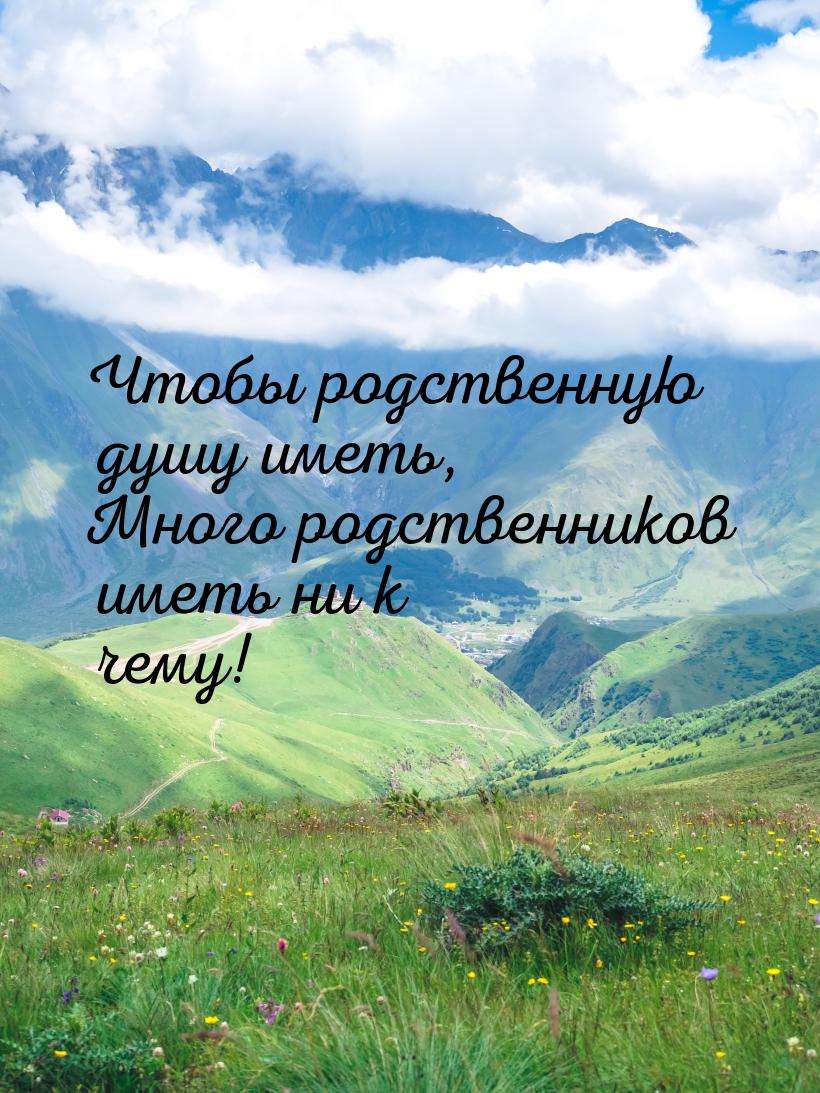 Чтобы родственную душу иметь, Много родственников иметь ни к чему!