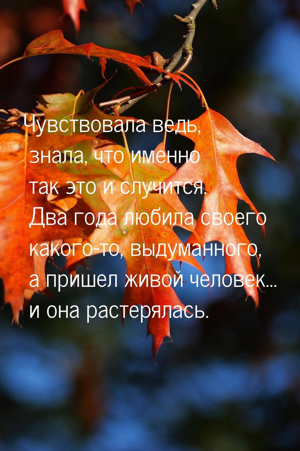 Чувствовала ведь, знала, что именно так это и случится. Два года любила своего какого-то, 