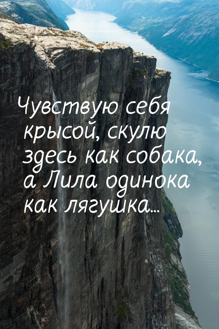 Чувствую себя крысой, скулю здесь как собака, а Лила одинока как лягушка...