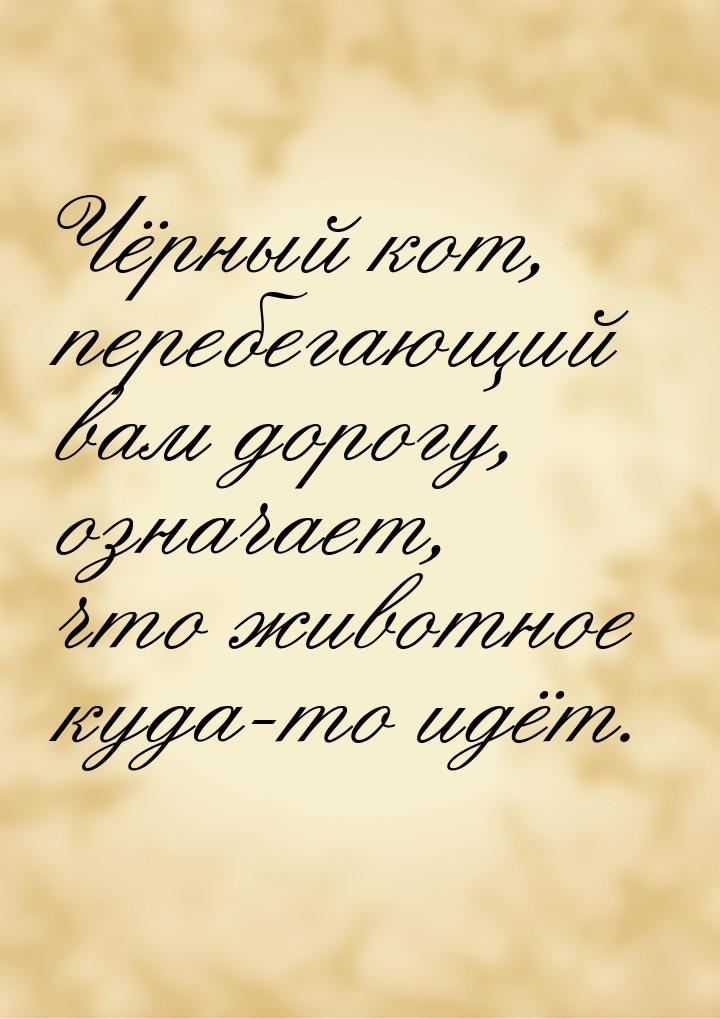 Чёрный кот, перебегающий вам дорогу, означает, что животное куда-то идёт.