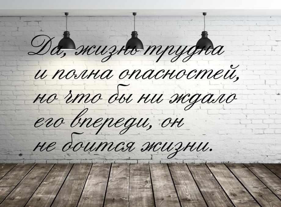 Да, жизнь трудна и полна опасностей, но что бы ни ждало его впереди, он не боится жизни.