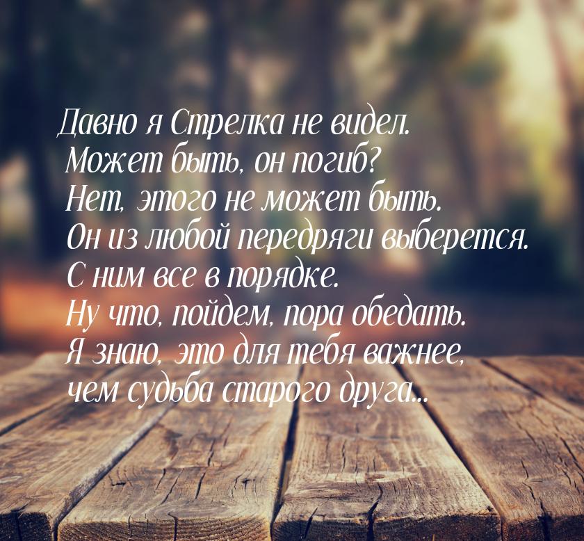 Давно я Стрелка не видел. Может быть, он погиб? Нет, этого не может быть. Он из любой пере