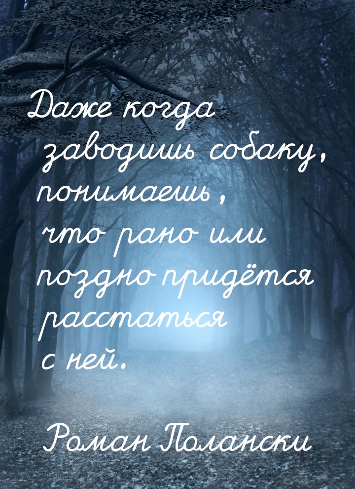 Даже когда заводишь собаку, понимаешь, что рано или поздно придётся расстаться с ней.