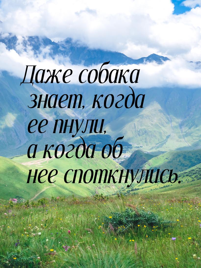 Даже собака знает, когда ее пнули, а когда об нее споткнулись.