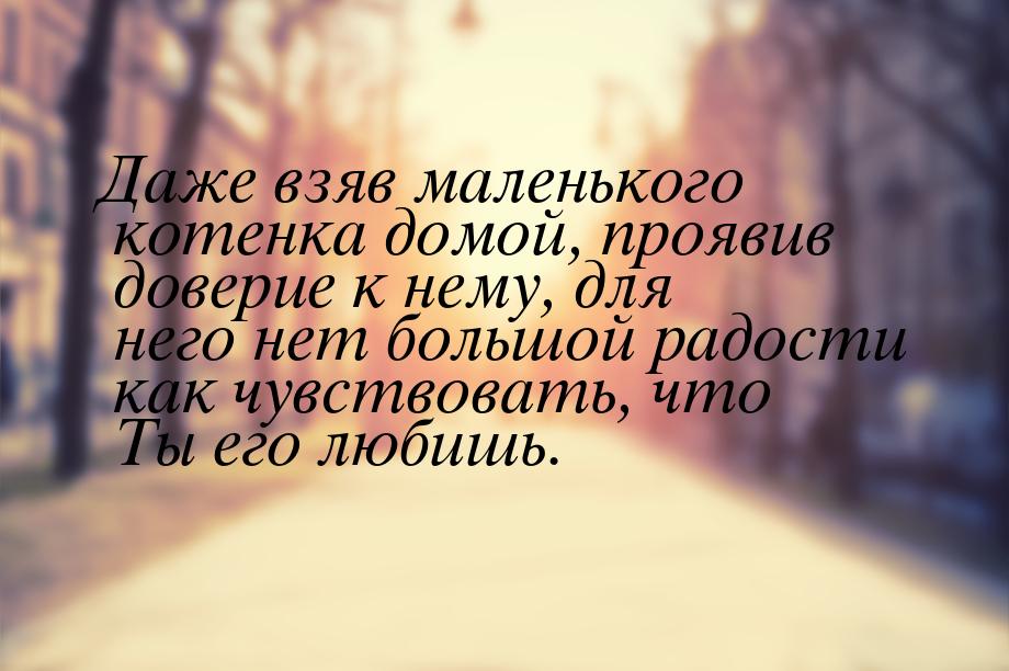 Даже взяв маленького котенка домой, проявив доверие к нему, для него нет большой радости к