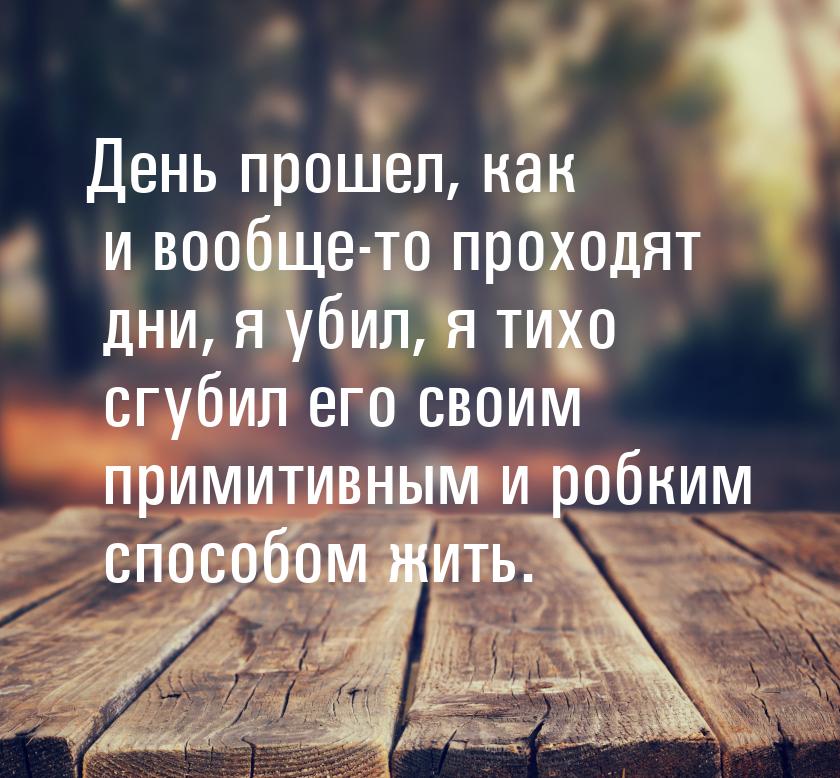 День прошел, как и вообще-то проходят дни, я убил, я тихо сгубил его своим примитивным и р