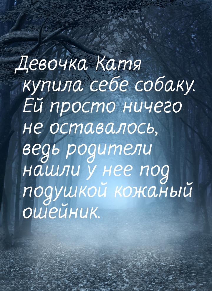 Девочка Катя купила себе собаку. Ей просто ничего не оставалось, ведь родители нашли у нее