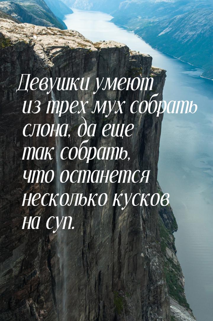 Девушки умеют из трех мух собрать слона, да еще так собрать, что останется несколько куско