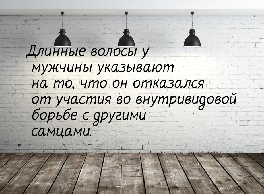 Длинные волосы у мужчины указывают на то, что он отказался от участия во внутривидовой бор