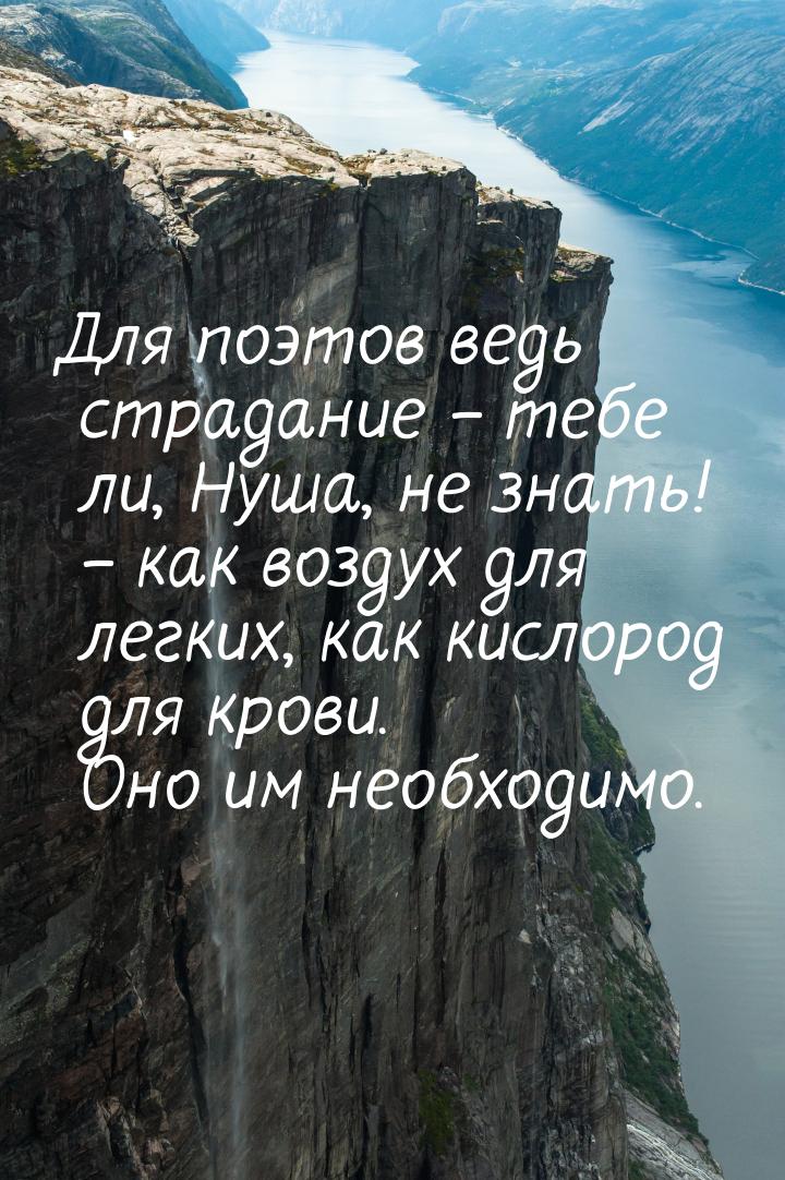 Для поэтов ведь страдание – тебе ли, Нуша, не знать! – как воздух для легких, как кислород