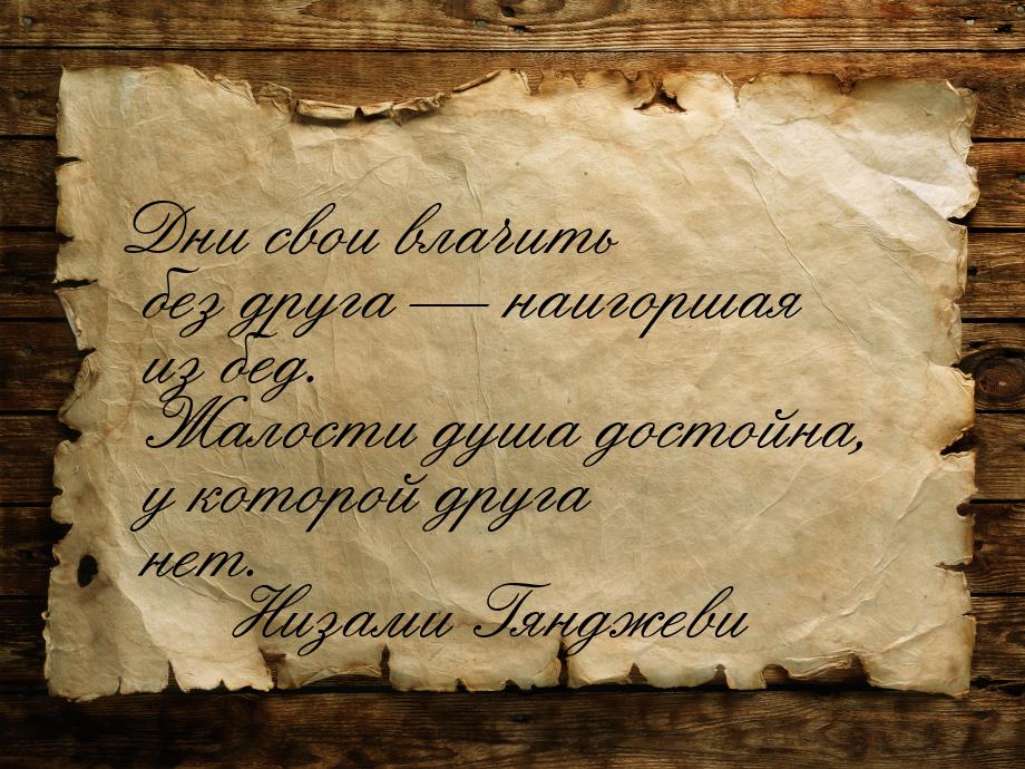 Дни свои влачить без друга — наигоршая из бед. Жалости душа достойна, у которой друга нет.