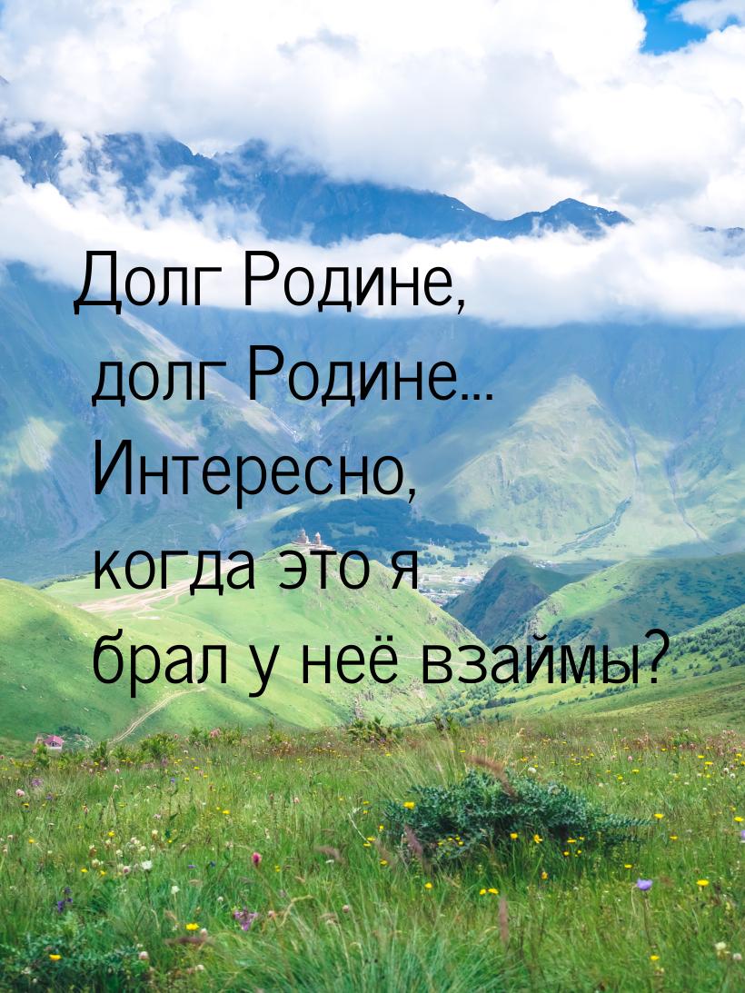 Долг Родине, долг Родине... Интересно, когда это я брал у неё взаймы?