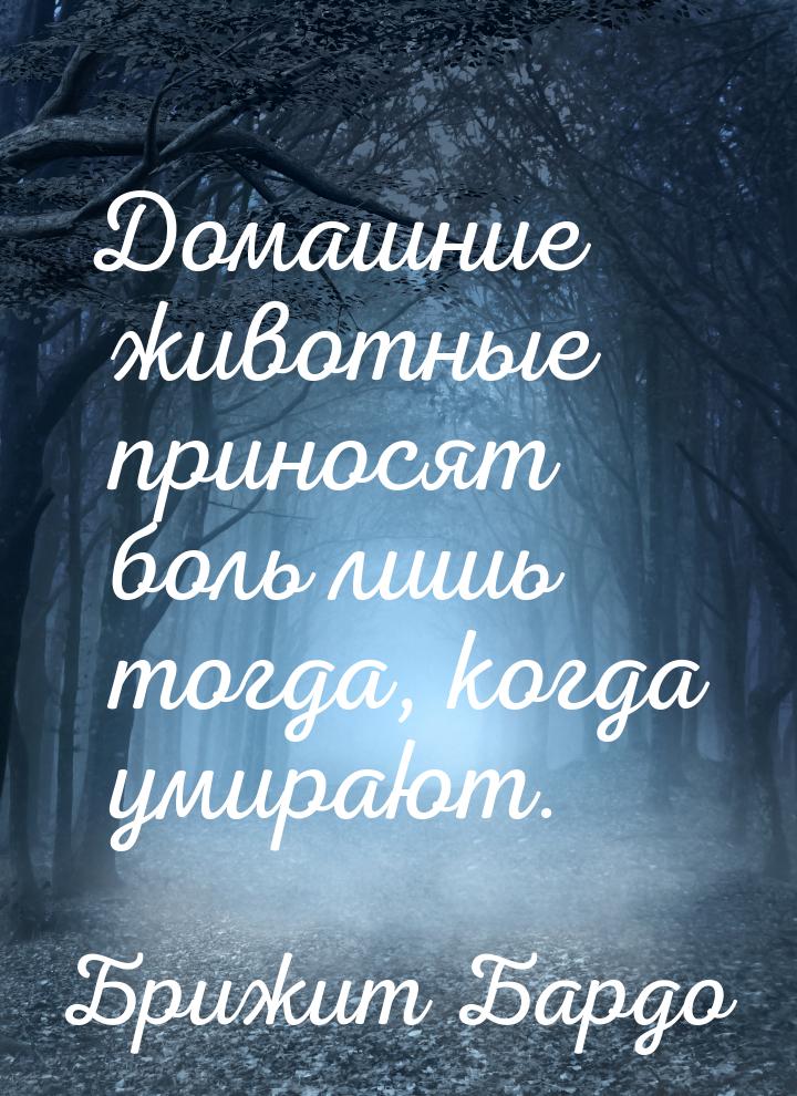 Домашние животные приносят боль лишь тогда, когда умирают.