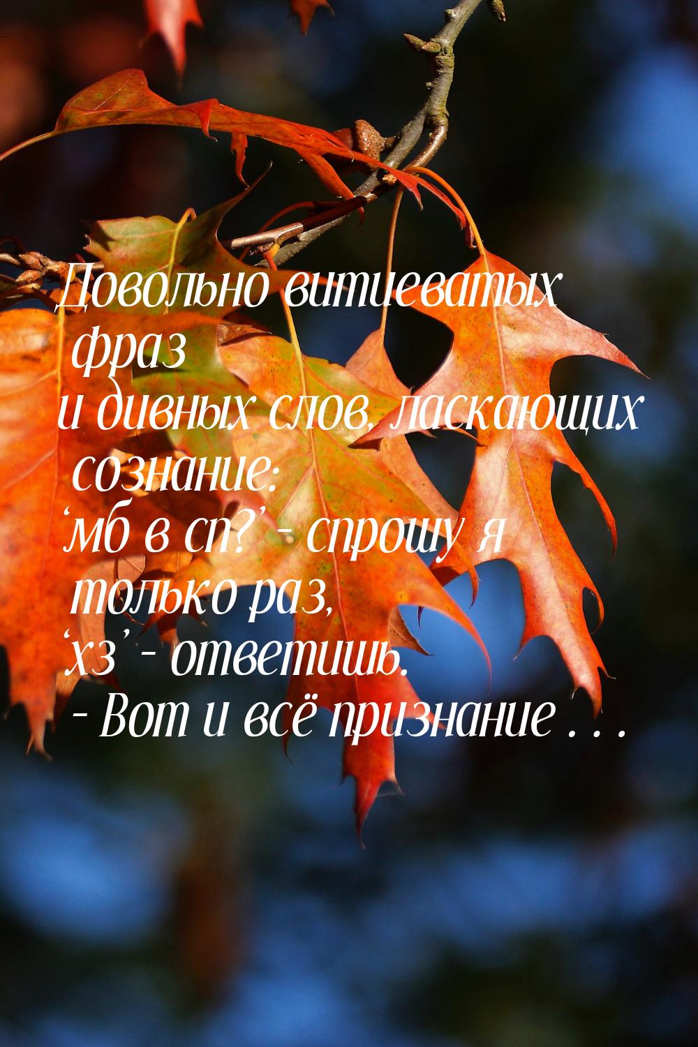 Довольно витиеватых фраз и дивных слов, ласкающих сознание: ‘мб в сп?’ – спрошу я только р