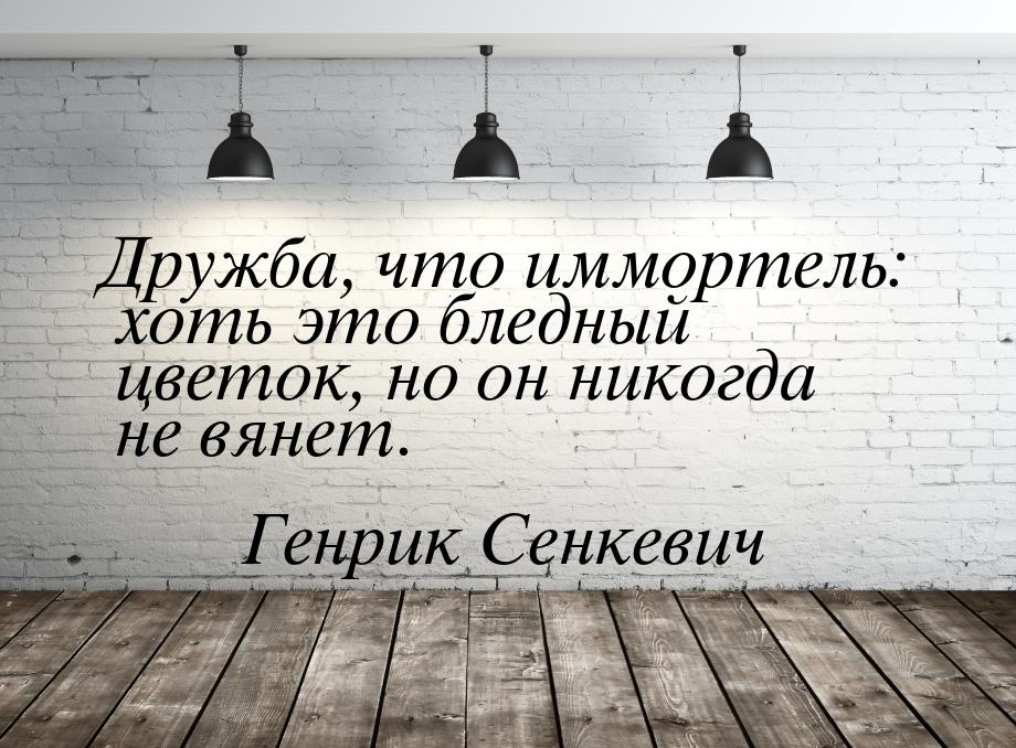 Дружба, что иммортель: хоть это бледный цветок, но он никогда не вянет.