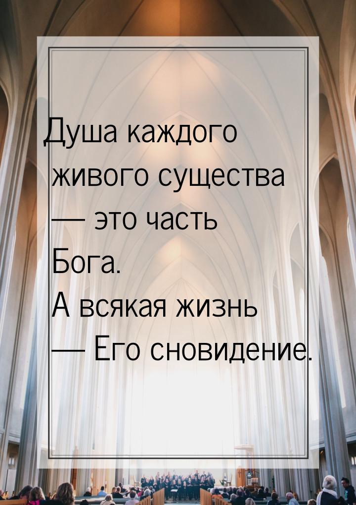 Душа каждого живого существа  это часть Бога. А всякая жизнь  Его сновидение