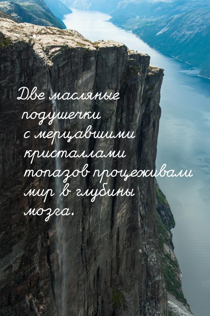 Две масляные подушечки с мерцавшими кристаллами топазов процеживали мир в глубины мозга.