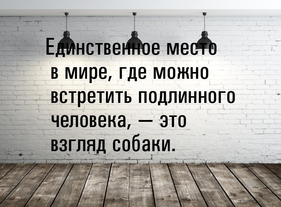 Единственное место в мире, где можно встретить подлинного человека,  это взгляд соб