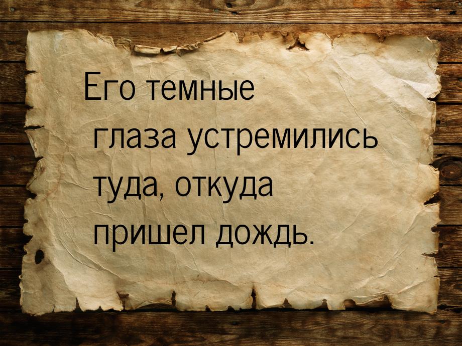 Его темные глаза устремились туда, откуда пришел дождь.