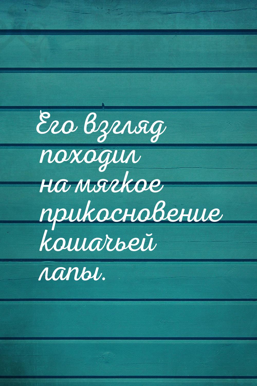 Его взгляд походил на мягкое прикосновение кошачьей лапы.