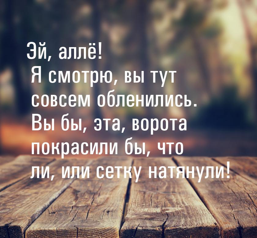 Эй, аллё! Я смотрю, вы тут совсем обленились. Вы бы, эта, ворота покрасили бы, что ли,  ил