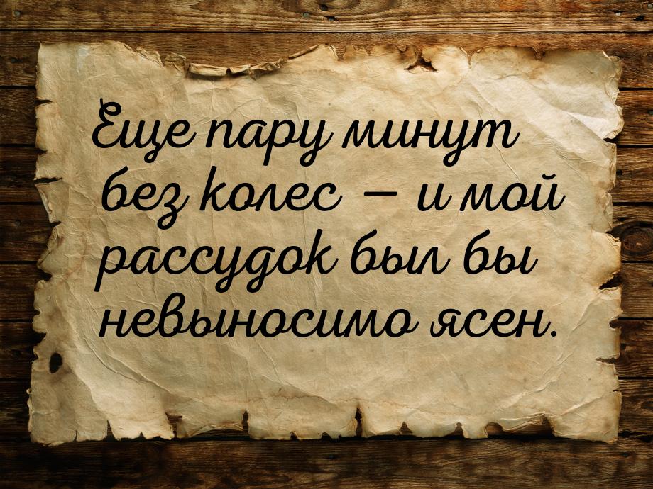 Еще пару минут без колес  и мой рассудок был бы невыносимо ясен.