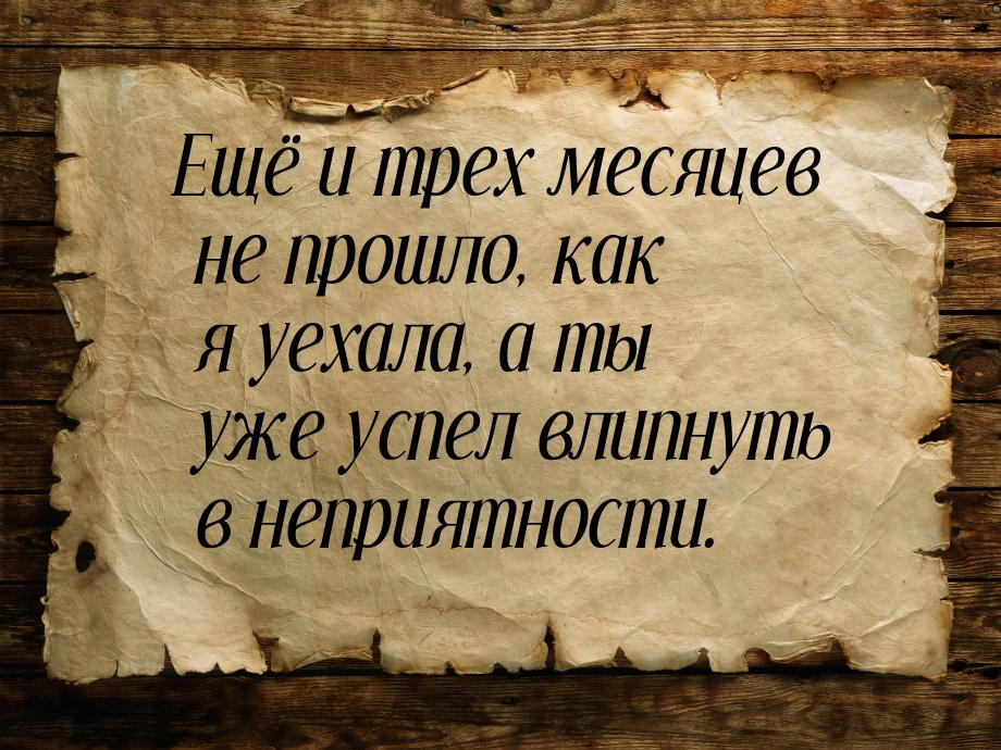 Ещё и трех месяцев не прошло, как я уехала, а ты уже успел влипнуть в неприятности.