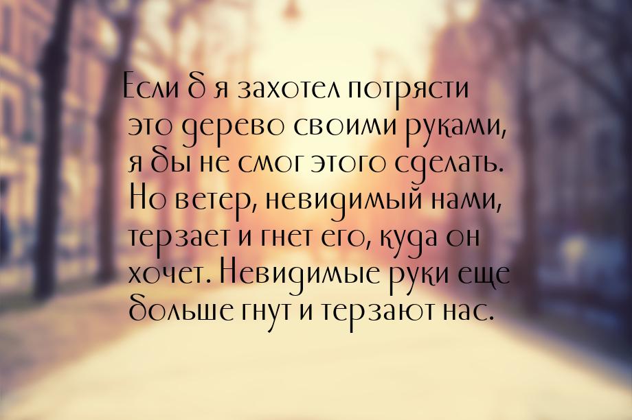 Если б я захотел потрясти это дерево своими руками, я бы не смог этого сделать. Но ветер, 