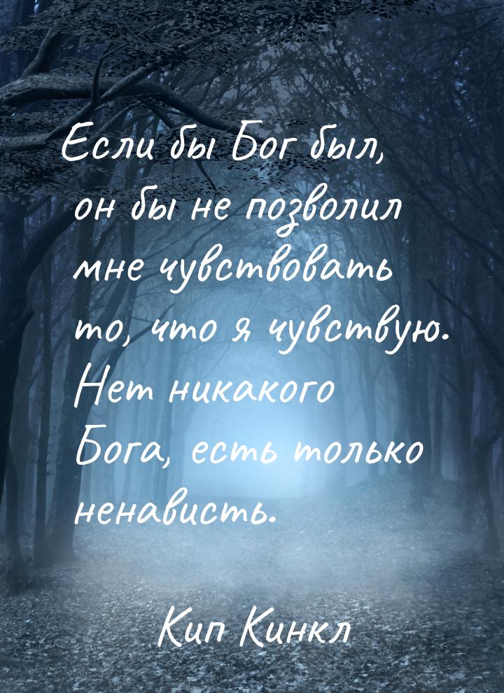 Если бы Бог был, он бы не позволил мне чувствовать то, что я чувствую. Нет никакого Бога, 