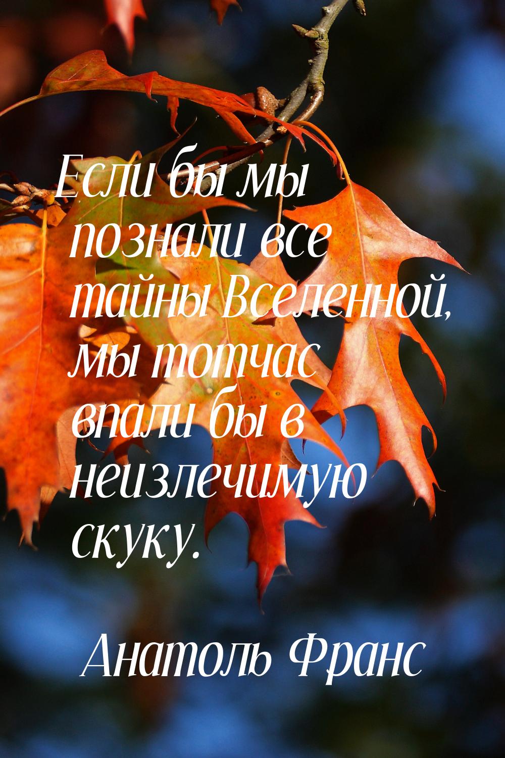 Если бы мы познали все тайны Вселенной, мы тотчас впали бы в неизлечимую скуку.