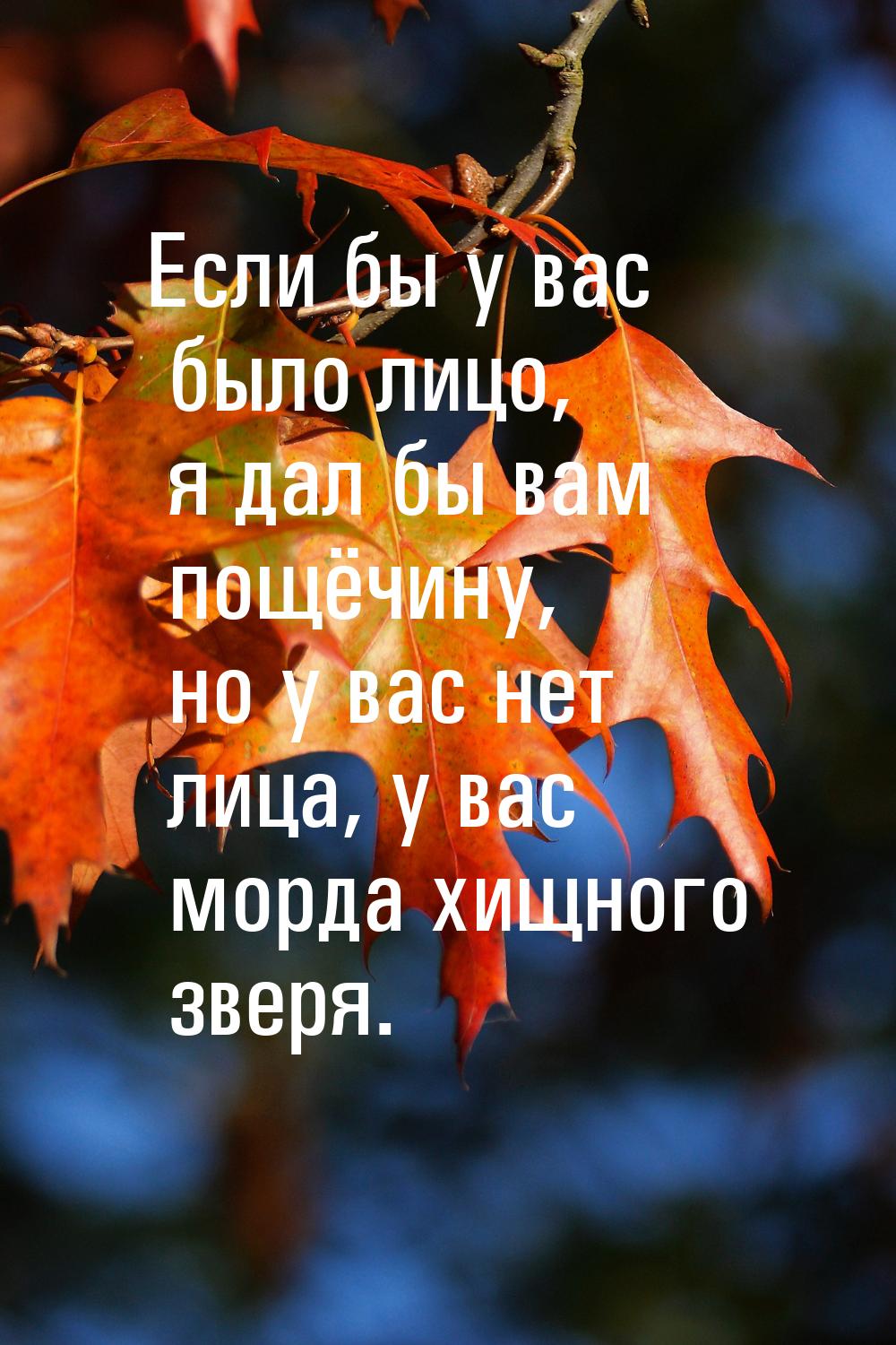 Если бы у вас было лицо, я дал бы вам пощёчину, но у вас нет лица, у вас морда хищного зве