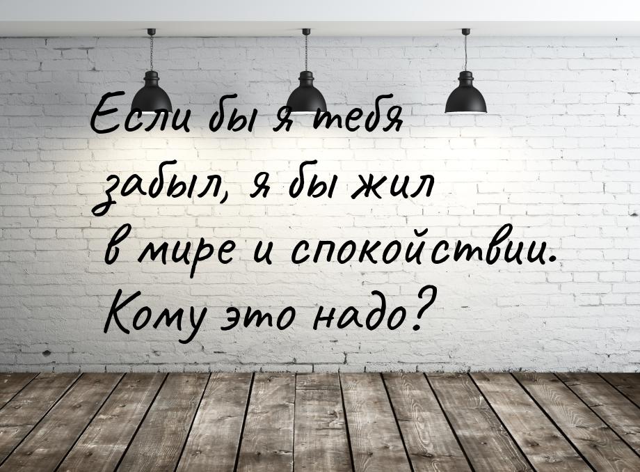 Если бы я тебя забыл, я бы жил в мире и спокойствии. Кому это надо?