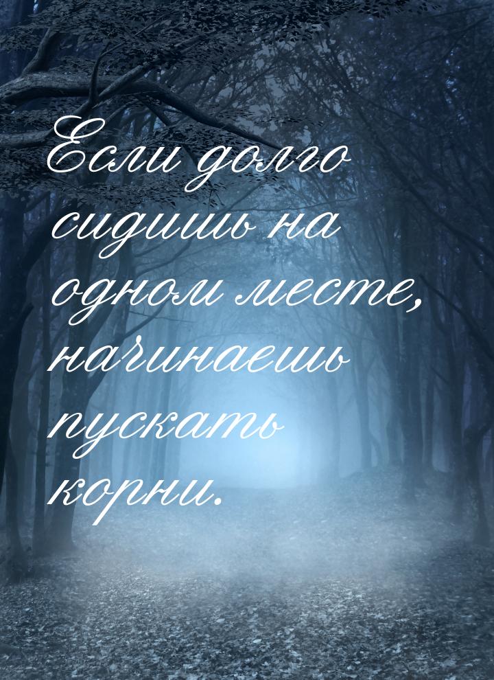 Если долго сидишь на одном месте, начинаешь пускать корни.