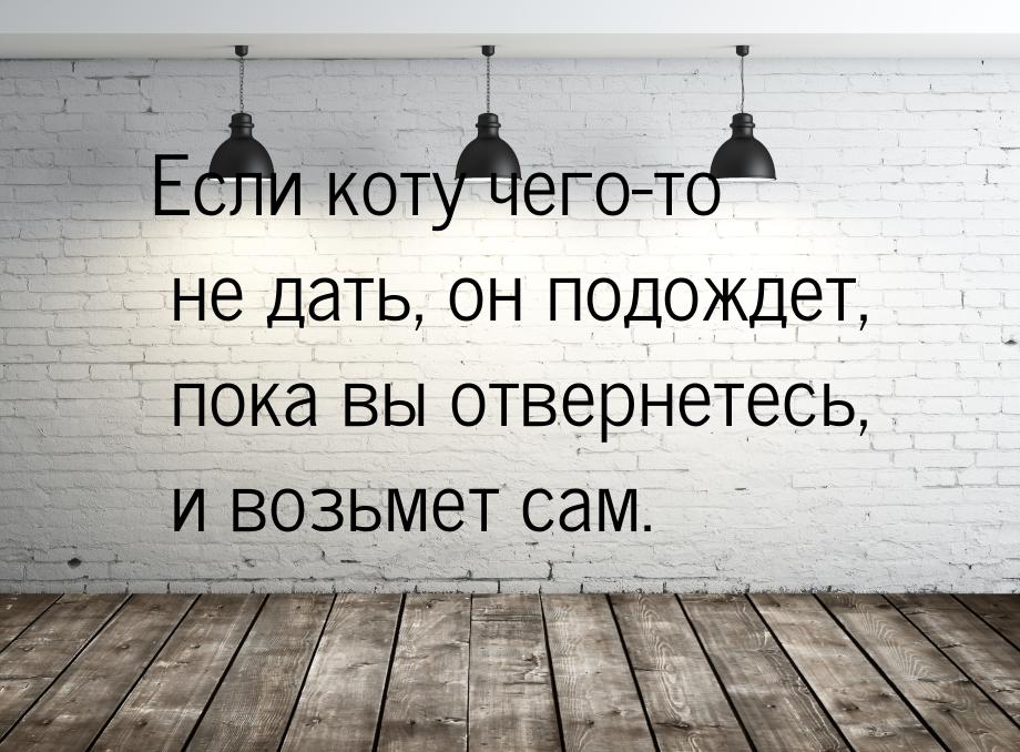 Если коту чего-то не дать, он подождет, пока вы отвернетесь, и возьмет сам.