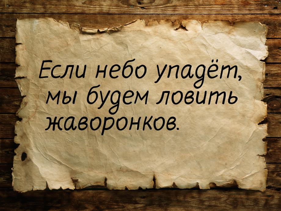 Если небо упадёт, мы будем ловить жаворонков.