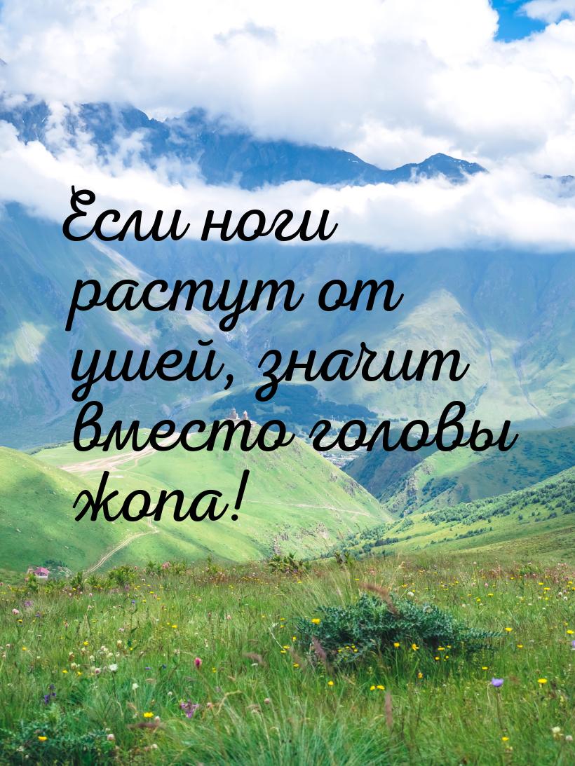 Если ноги растут от ушей, значит вместо головы жопа!